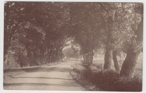 The lane friskney - p/c,