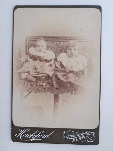 Cabinet card cute - cabinet,